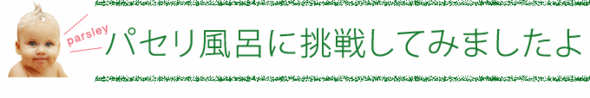 �ѥ�����Ϥ��ĩ�路�Ƥߤޤ�����