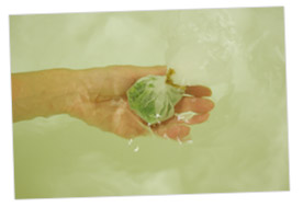 paseri_photo_bath.jpg
