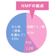 NMF������