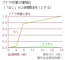 06_graph.gif